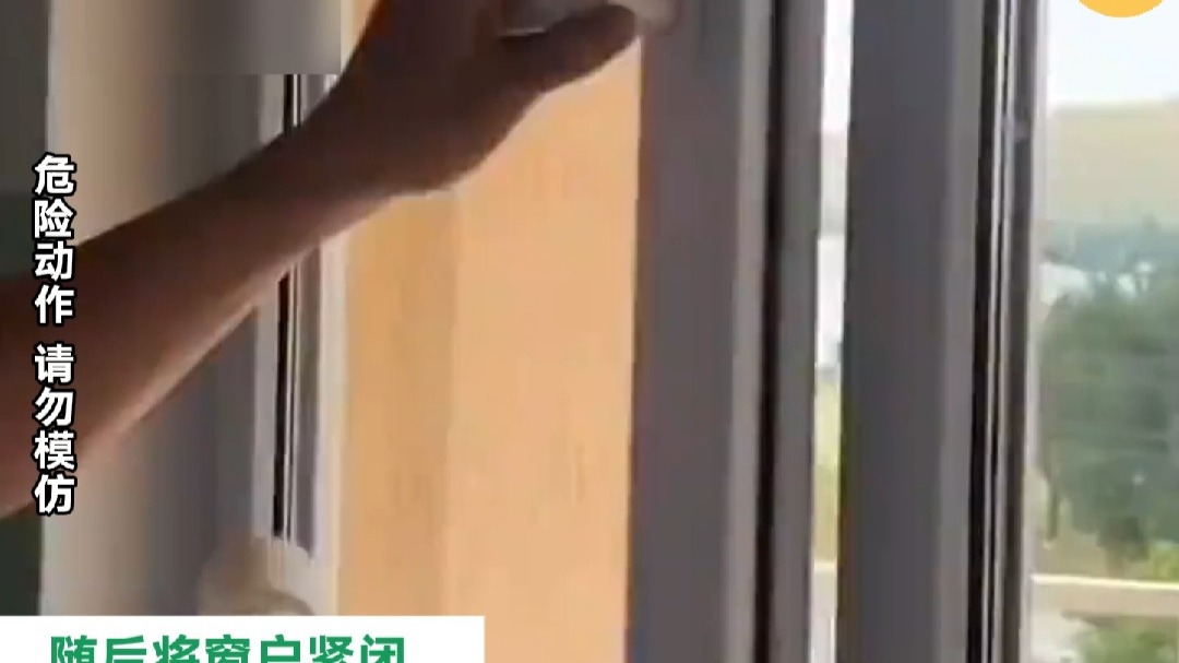 小伙拿水瓶砸掉马蜂窝  随后将窗户紧闭  狗：哪位同仁干的事？