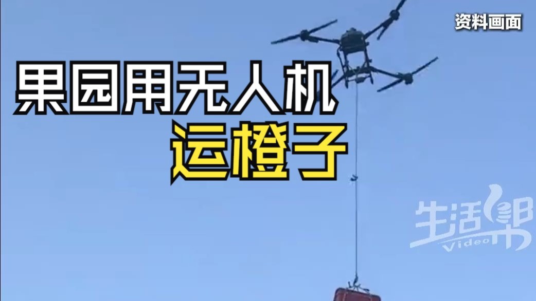 果园用无人机运橙子下山，一次运120斤，运费1毛1斤。效率高！一台