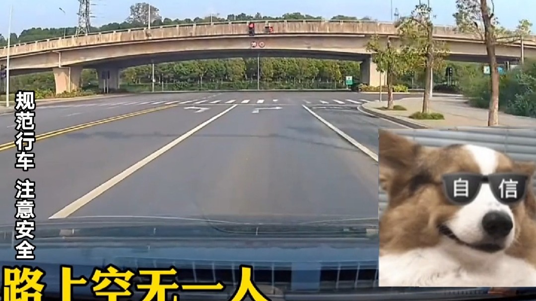男子在空无一人的路上行驶  居然还能开翻车……