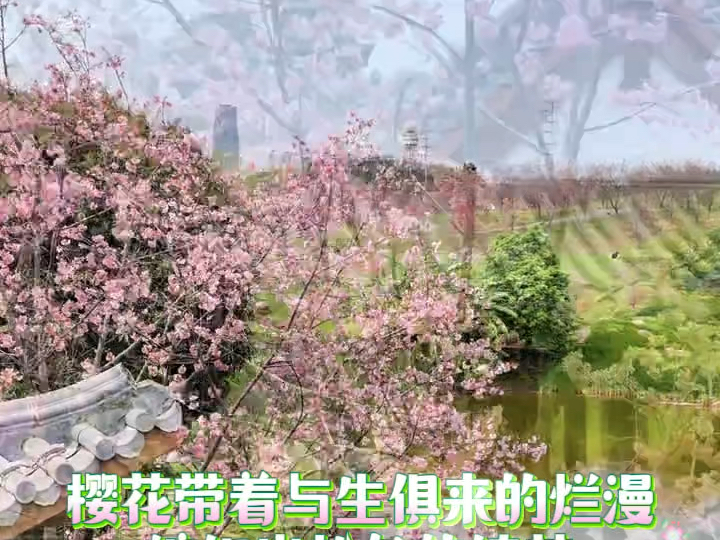 青秀山风景区三花同时绽放，是春天给出的惊喜盲盒！#AI上南宁很