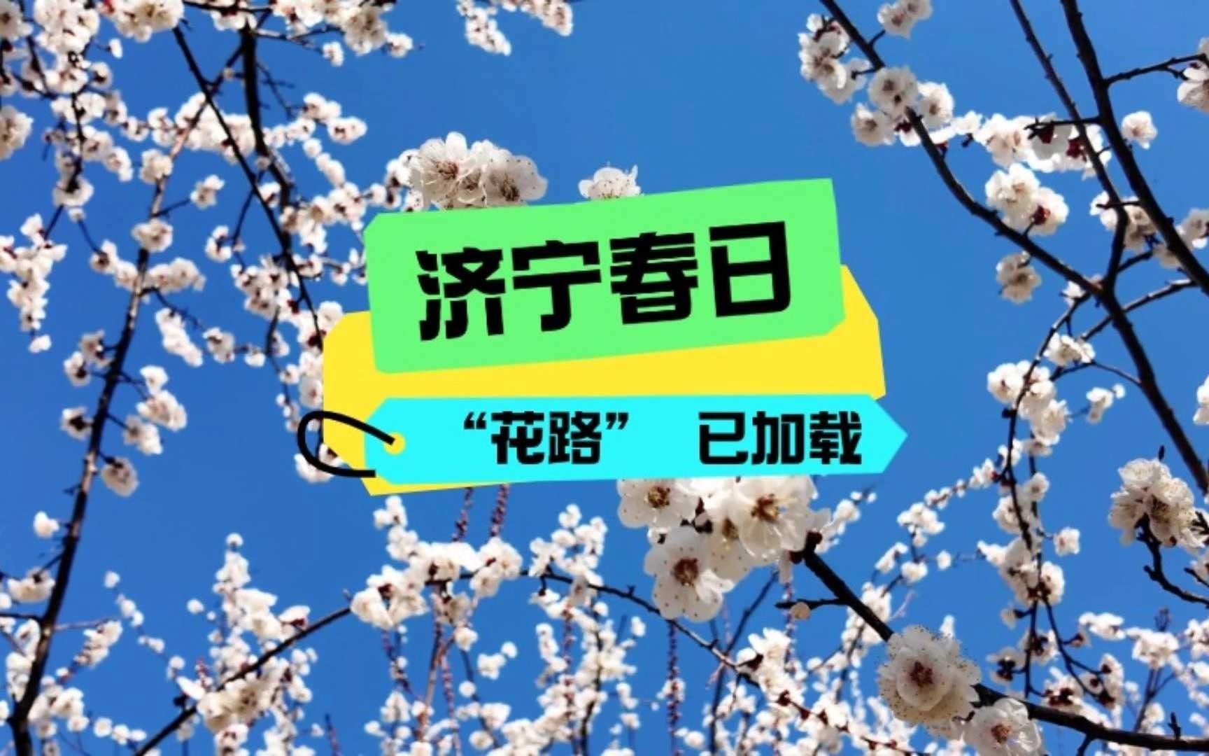 【济宁春日 “花路” 已加载】