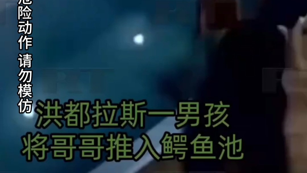 一男孩将哥哥推入鳄鱼池  网友：“世子”之争 素来如此