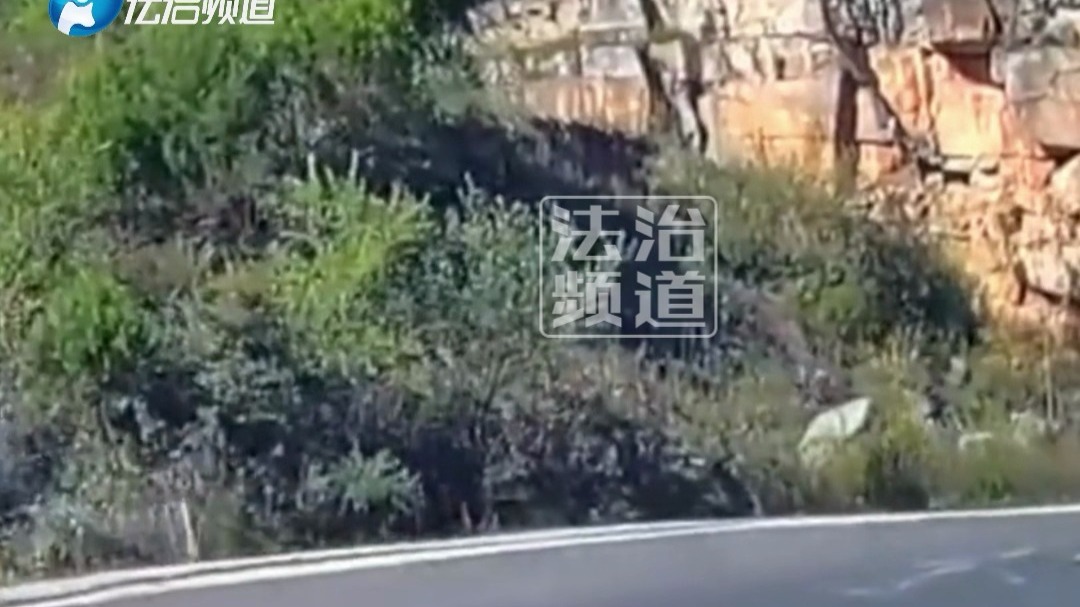 遇到山区急转弯 前方控制不住当场翻车