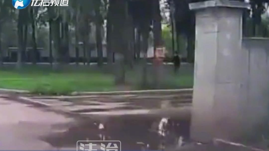直行突然一辆车撞了上来 网友：这是谁的责任
