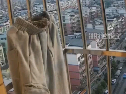 女子出游回家后发现，晾晒的裤子上多出一个鸟巢。当事人：孩子说