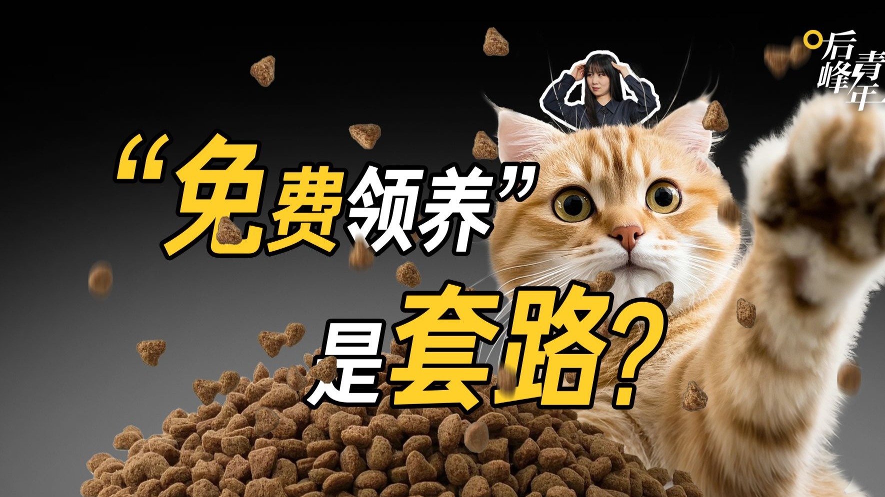 起底“免费领养”产业链：万元“猫贷”捆绑 维权有多难？