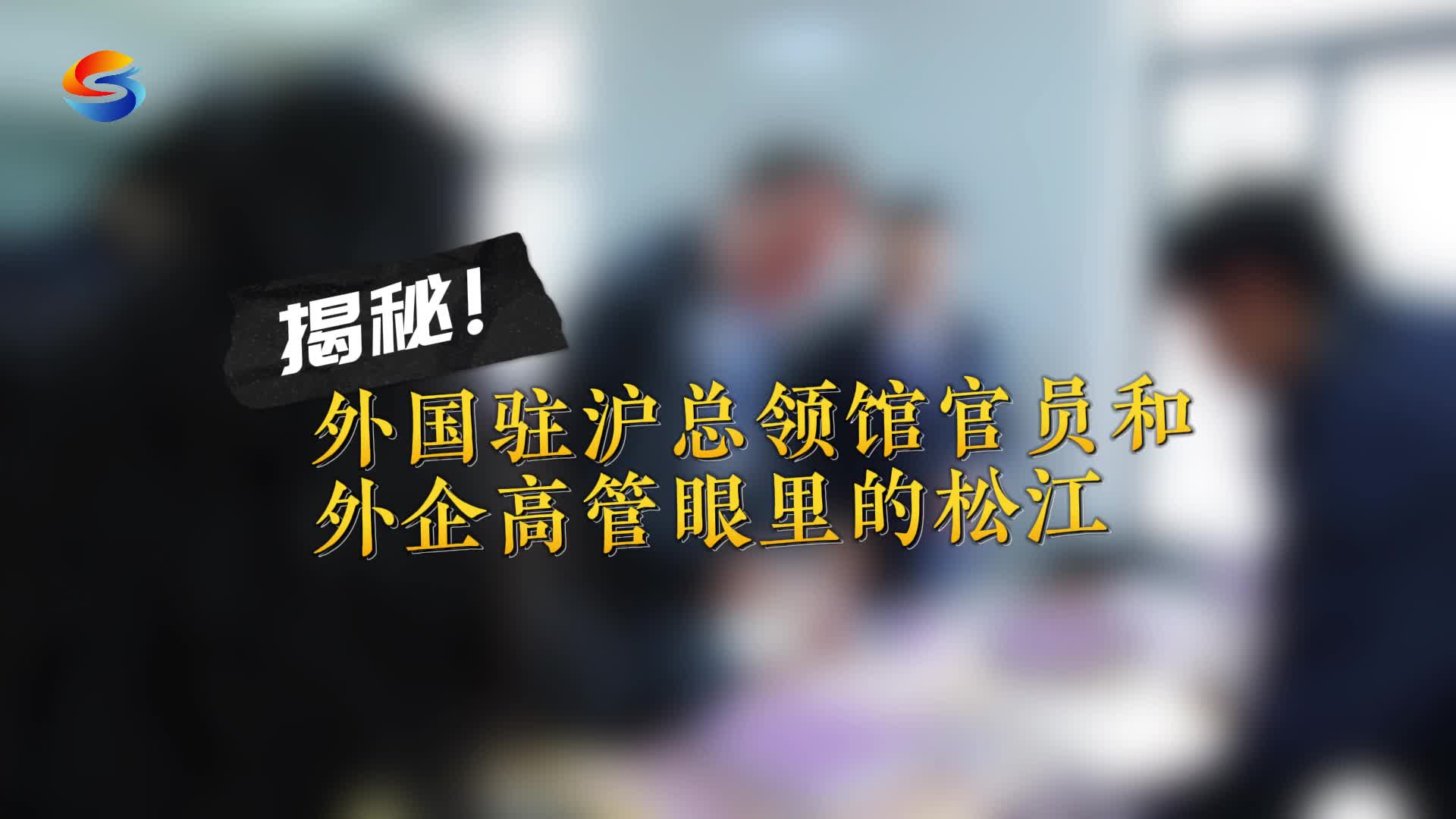 外国驻沪总领馆官员和外企高管眼里的松江“不一样了”