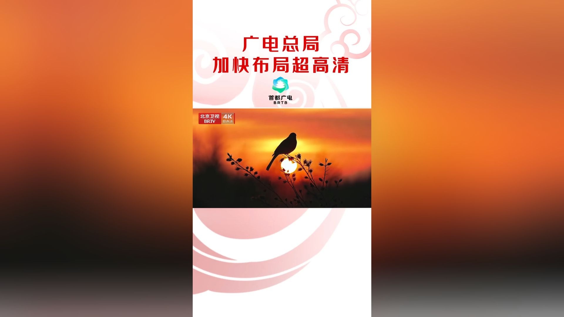 全国首个省级卫视4K超高清频道正式开播，科技重新定义客厅美学