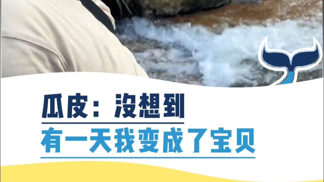 瓜皮：没想到，有一天我变成了宝贝
