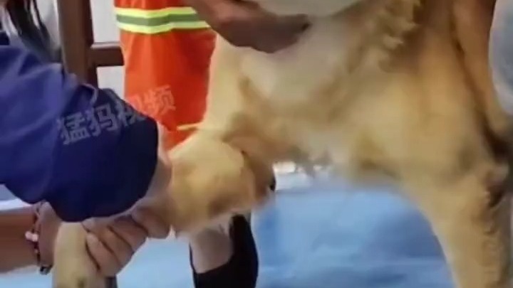 我晕针，看着都吓人