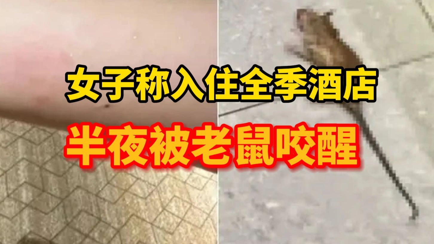 女子称住全季酒店半夜被老鼠咬醒，投诉人：酒店愿赔5000元，同时要
