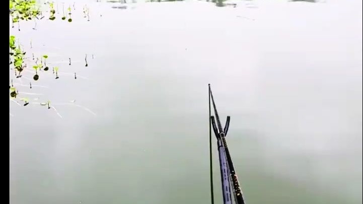 其实无所谓的，我不在意