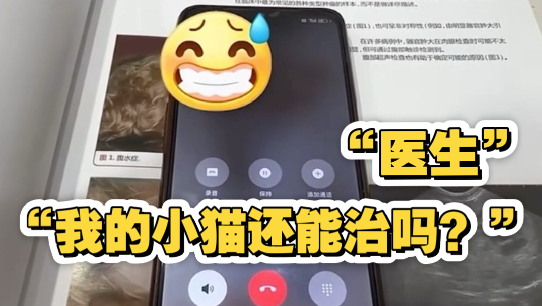 宠物医院接到了“史上最离谱”的电话…
