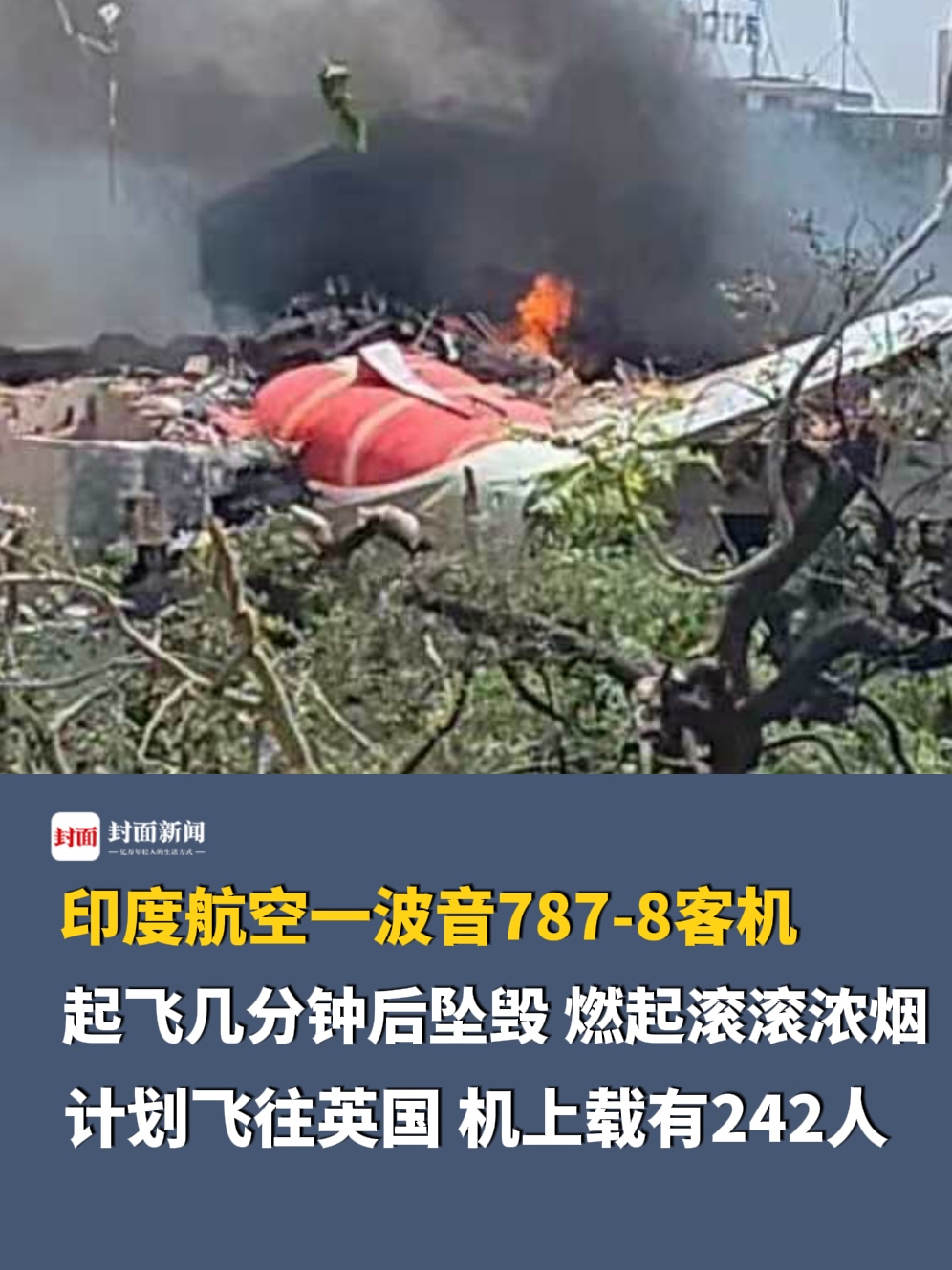 印度航空一波音787-8客机起飞几分钟后坠毁
