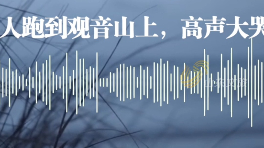 一名青年记者笔下的“回家三部曲”#用平凡造就非凡 #总有温