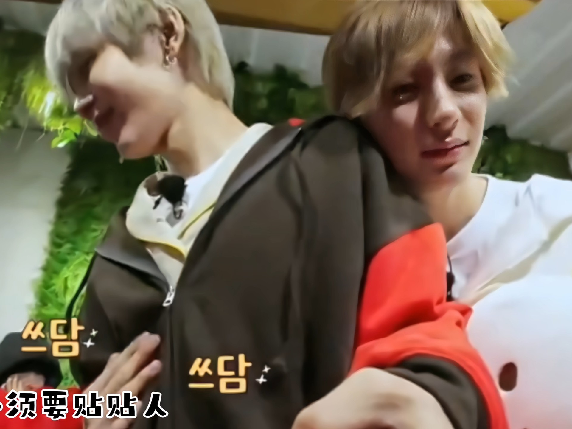 为什么说李灿荣是将太郎养的大金毛