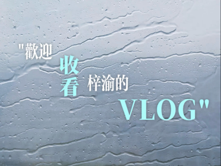 梓渝的青岛音乐节vlog