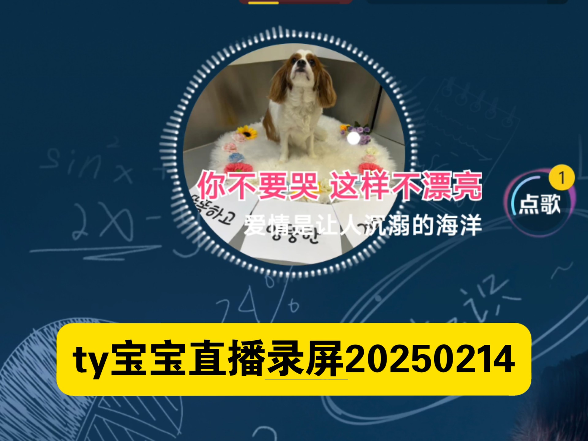 ty宝宝直播录屏20250214晚上