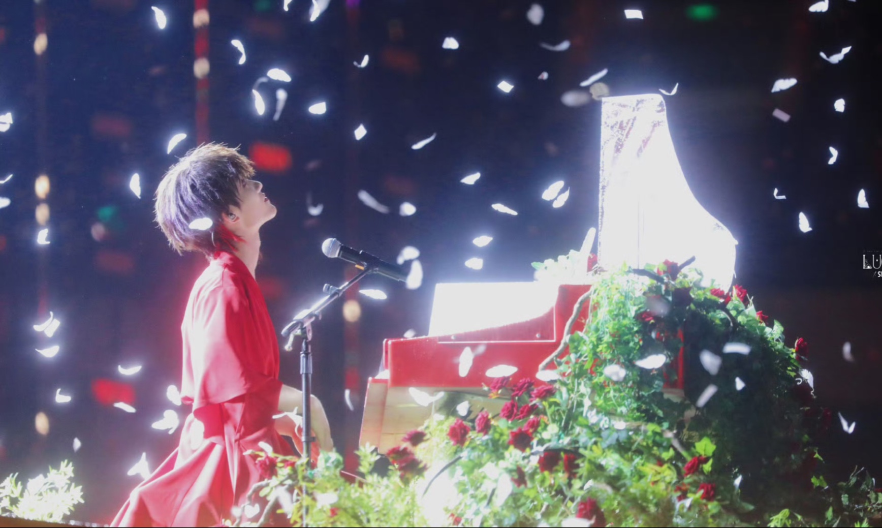 【苏新皓|红衣少年】一袭红衣尽风华 漫天风雪我们陪你