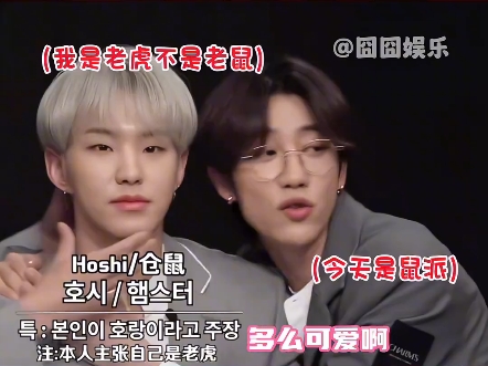 Hoshi：我不和97s坐在一起了 #seventeen #权顺荣 #金珉奎 #李