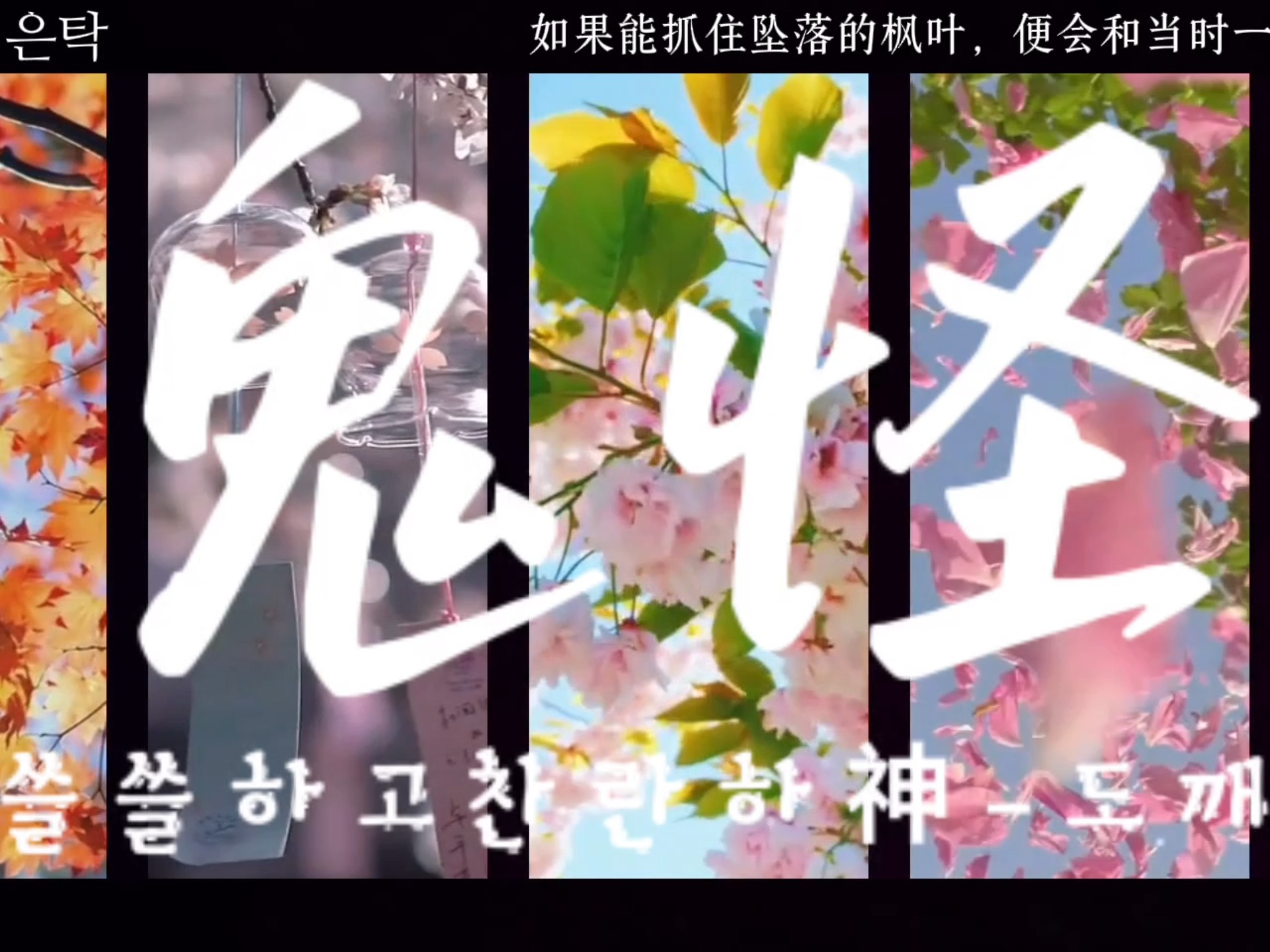 “如果能抓住坠落的枫叶，便会和当时一起走的人世间爱情”