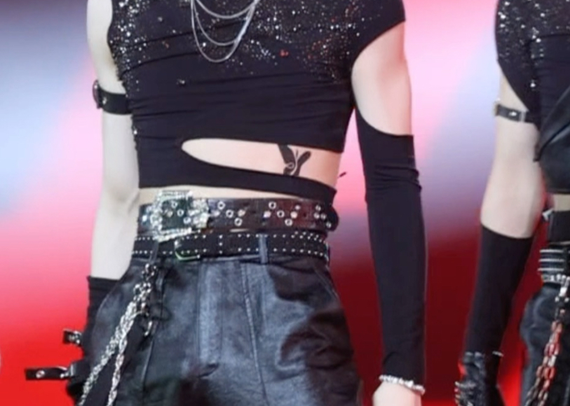 【苏新皓BAD直拍】 其实在dlr一群人跳这个的时候我眼里就只