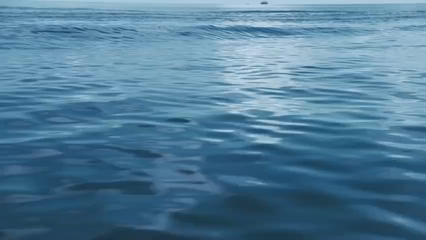 20250906一个地球OPF：#朱一龙护海一线# 第二集来咯！一起下潜《