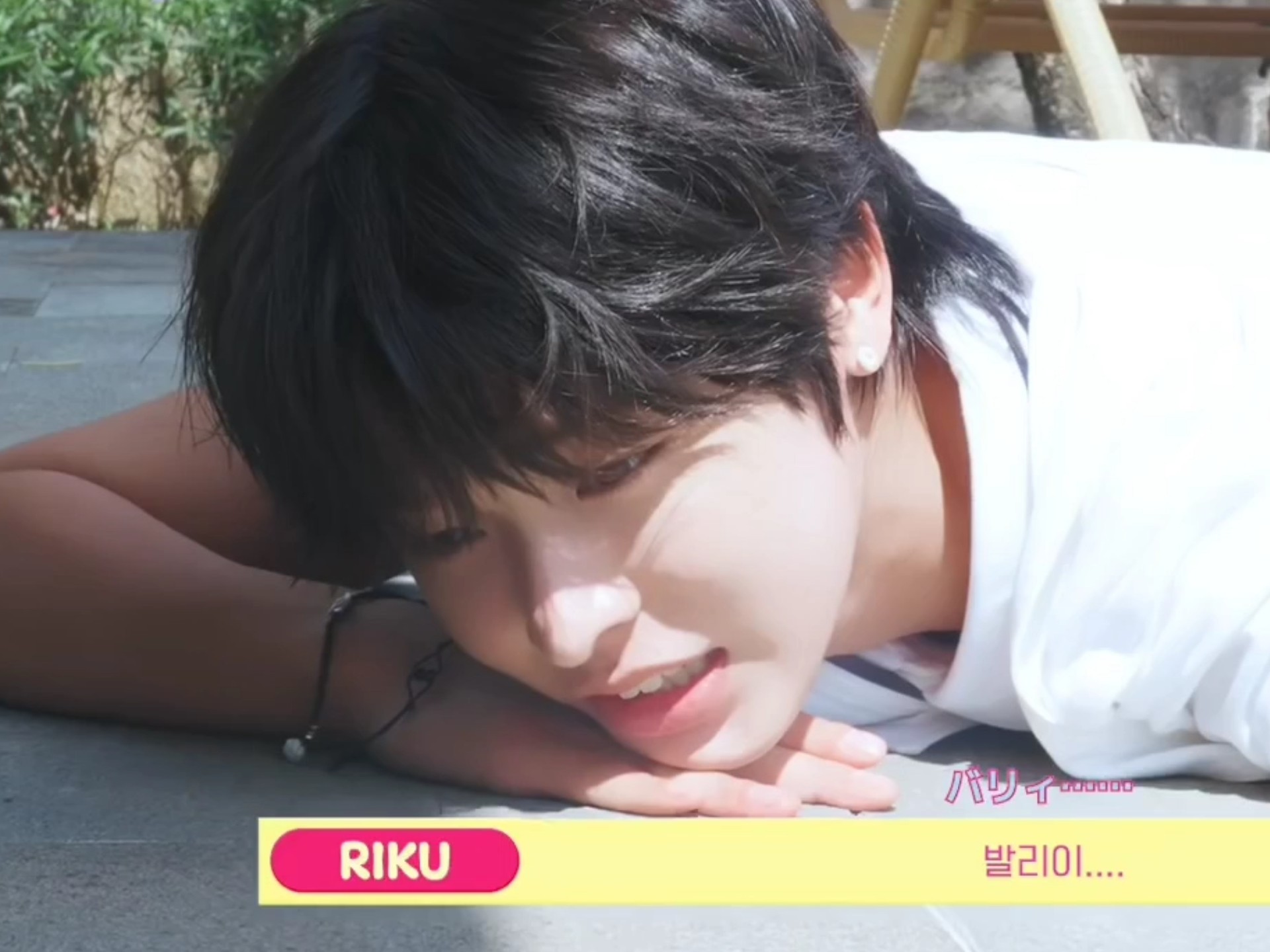 整个物料都非常美而萌之的露露