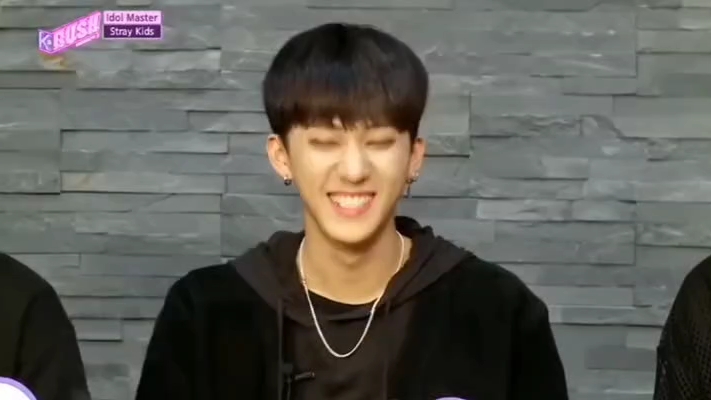 StrayKids早期自我介绍