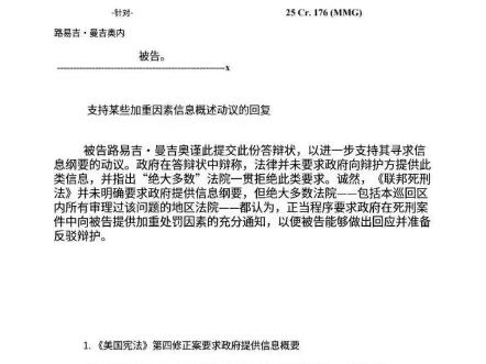 9.5纽约律师回复检方#luigi#LuigiMangione#Luigi#freeluigi#