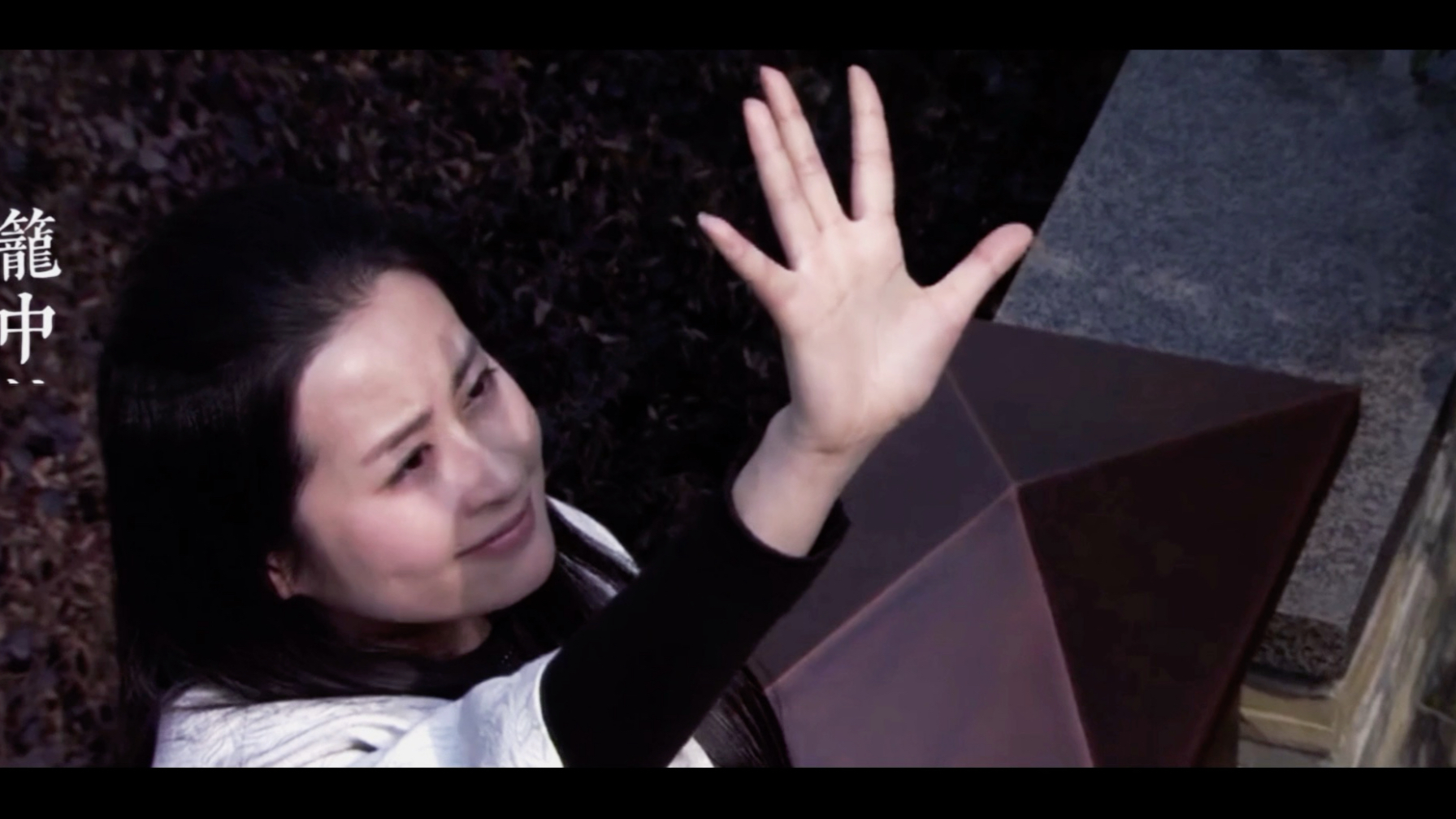 【千山暮雪】“笼中的鸟，ta再也逃不出去”