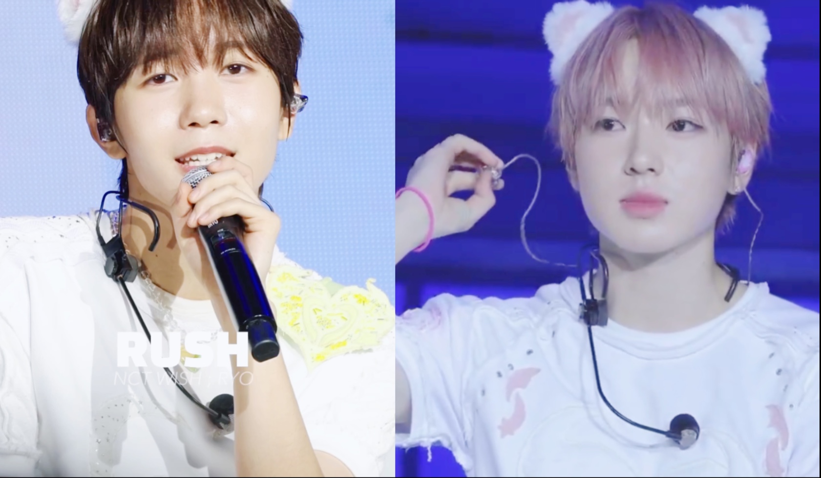 【nctwish/saryo】我做出了回复，我会向你发送猫咪reels