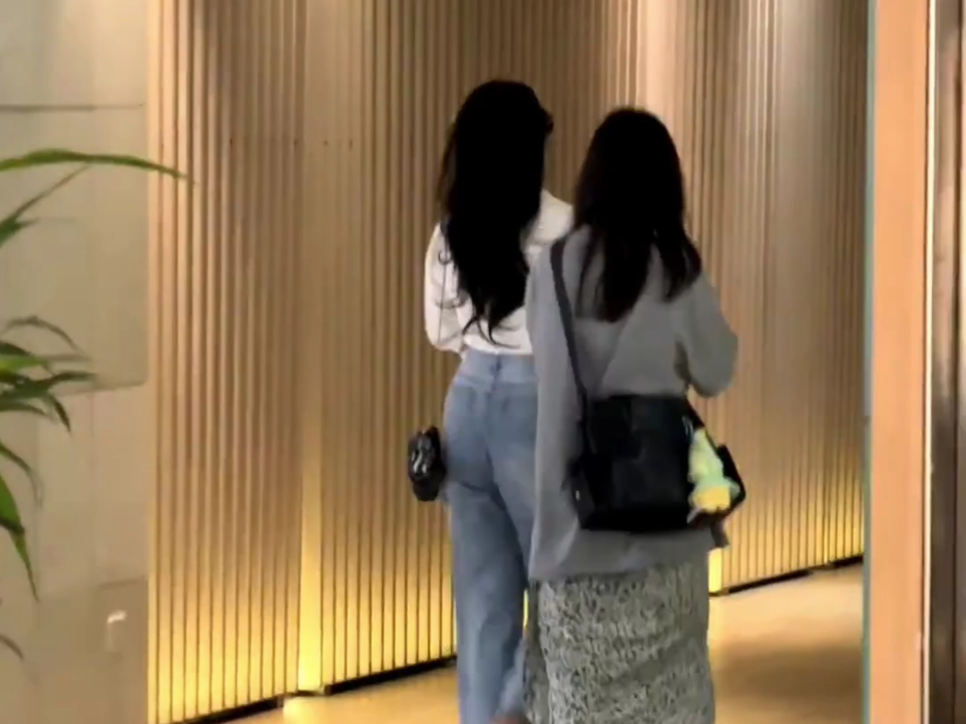 奥美美桑内，刘天仙美美仙背。