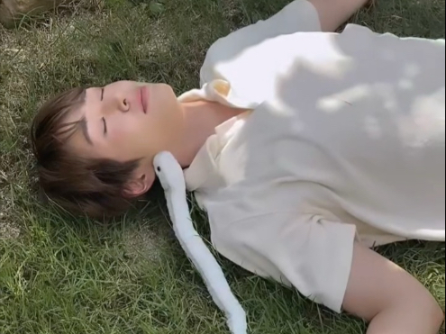 韩国爱豆拍摄途中被蛇咬到中毒晕厥 一旁的工作人员竟不叫救