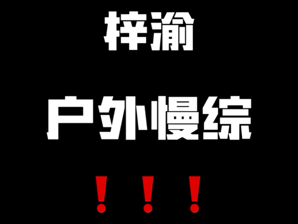 停停停 治愈慢综来了