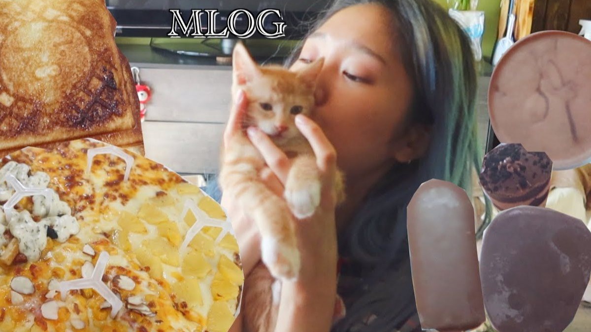 【补档中字】【MimPD | VLOG】 mlog 现实中的美贤世界_22 / 