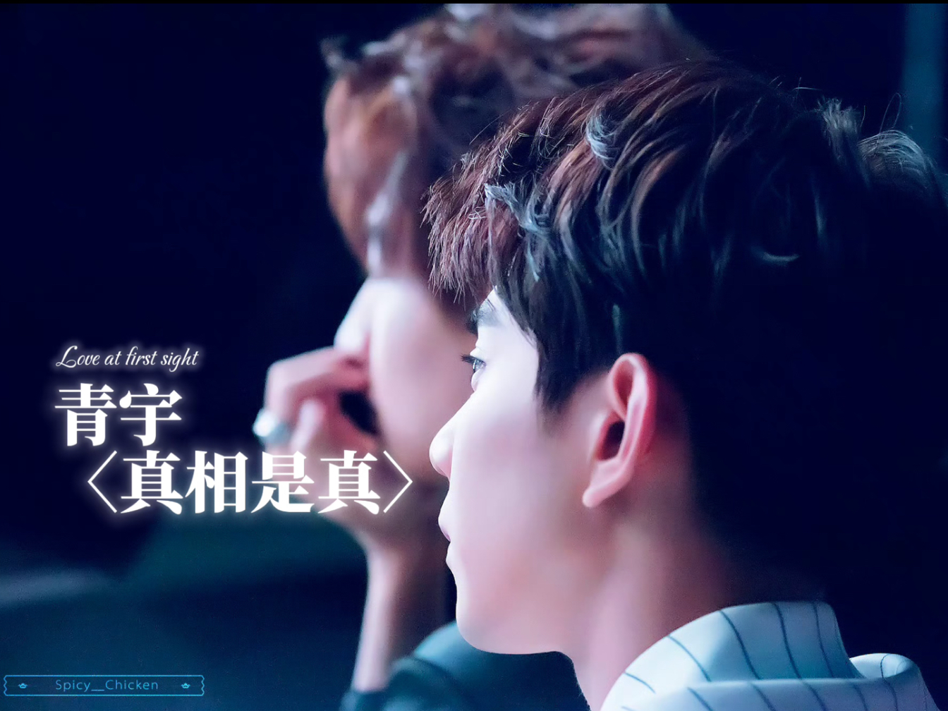【青宇】真相是真 爱你是真 伴你一生也是真