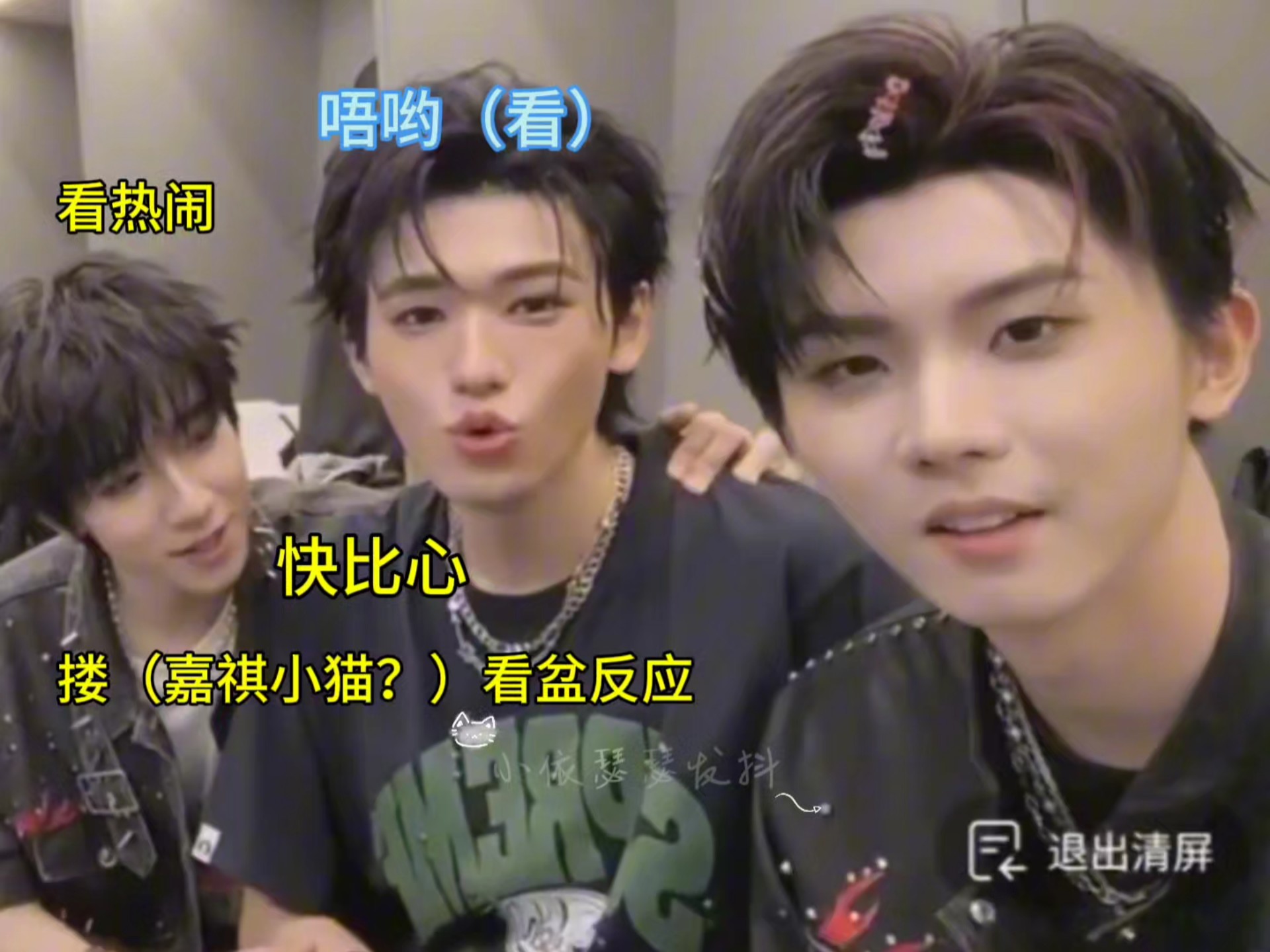 【轩祺｜盆风】这个盆子光调戏小猫 （感谢贺会长！）