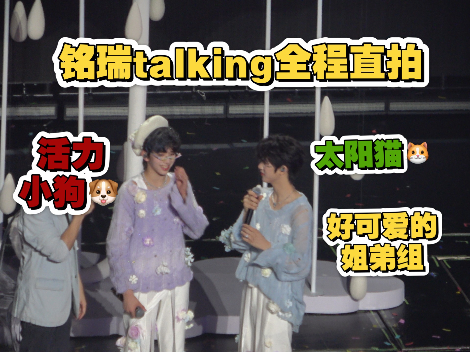 铭瑞｜小猫小狗两只萌物talking全程 张函瑞陈浚铭直拍 TF家族