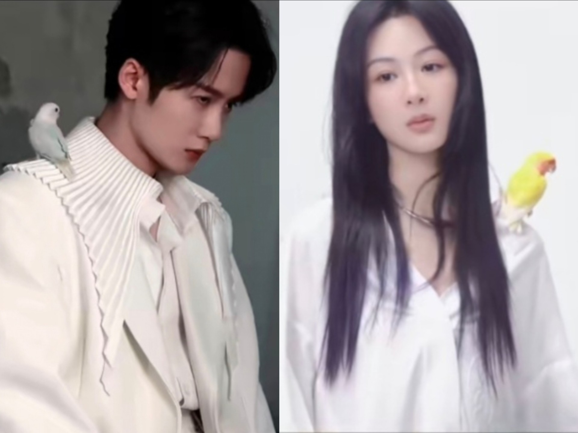 紫檀  yz  tjc 各类同款类似同款不完全整理  二  （图片主要来