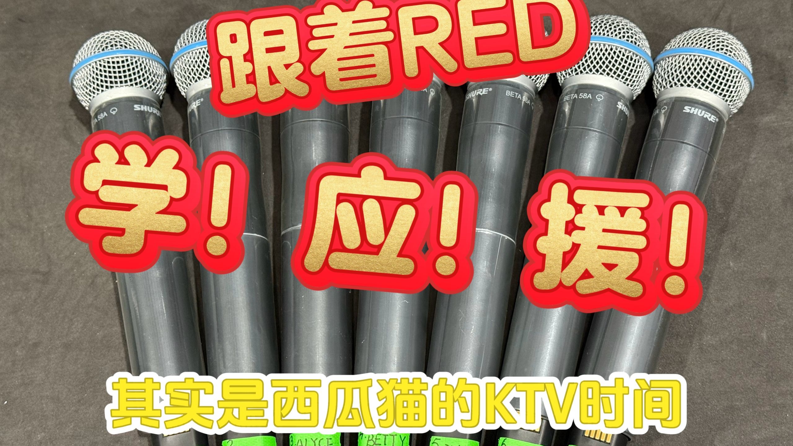 西瓜猫跟着RED学应援！大家也来复习一下吧！