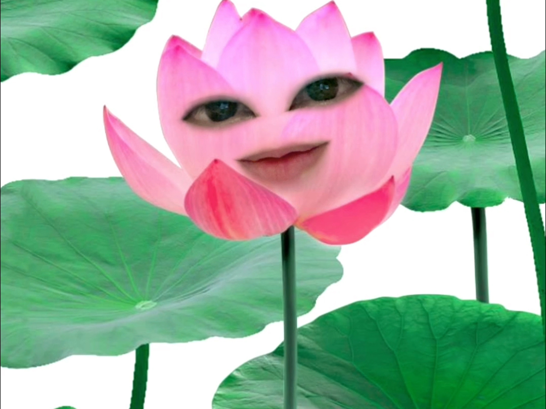 虞书欣霸凌张昊玥了吗？part 3