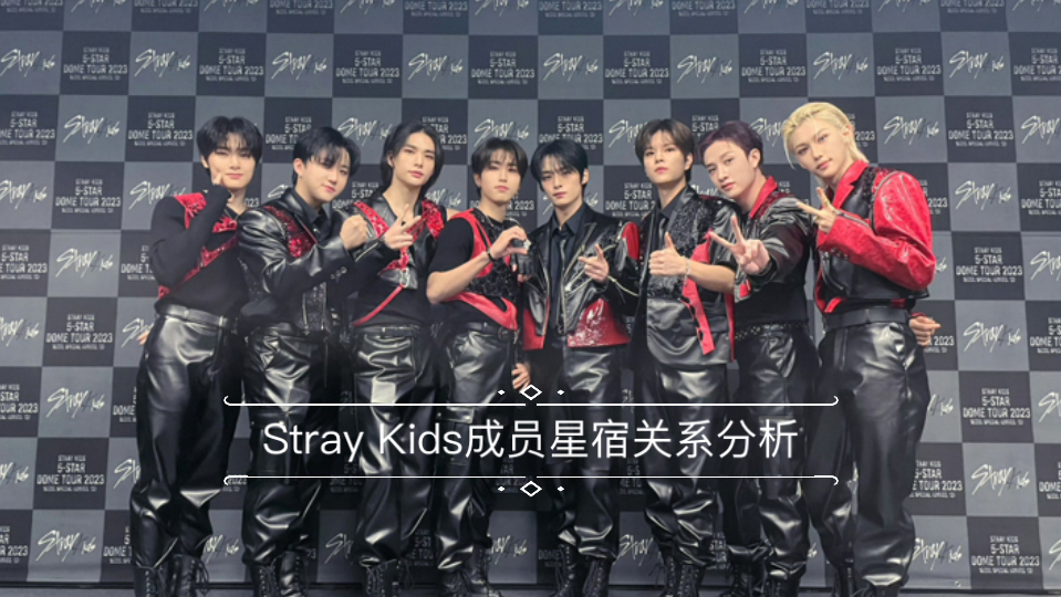【Stray Kids】成员星宿关系分析