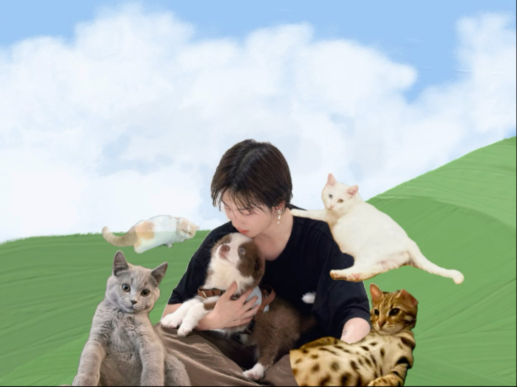 【周震南】的三猫一狗幸福家庭（家庭成员介绍视频）