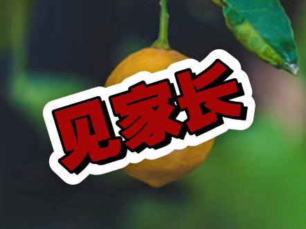 问：雷朋双方有没有见父母