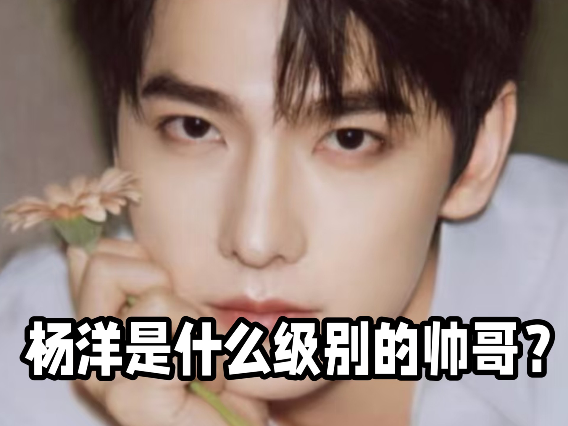 杨洋是什么级别的帅哥？