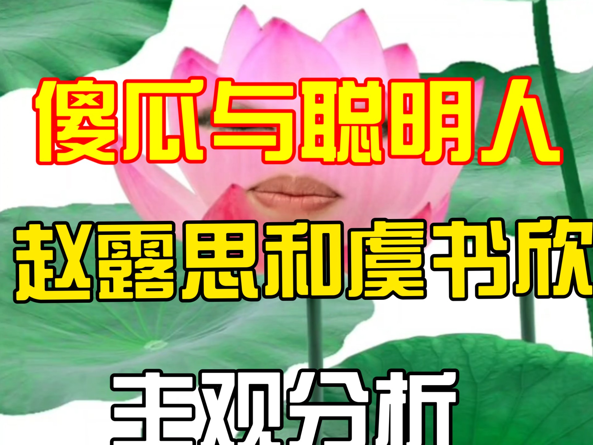 纯路人，对赵露思和虞书欣的印象