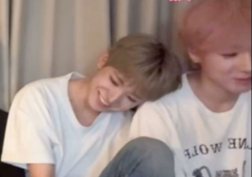 欢迎收看小崽暗恋日记