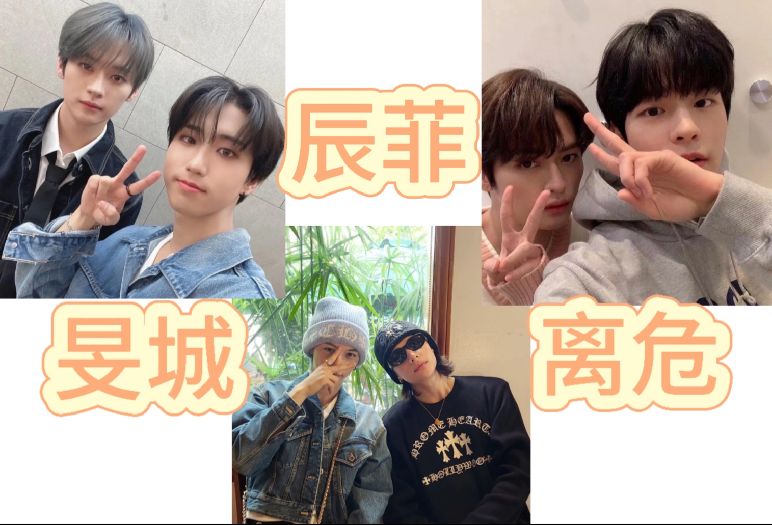 【cp reaction】阿米第一次看辰菲 离危 旻城 救命吧太好磕了