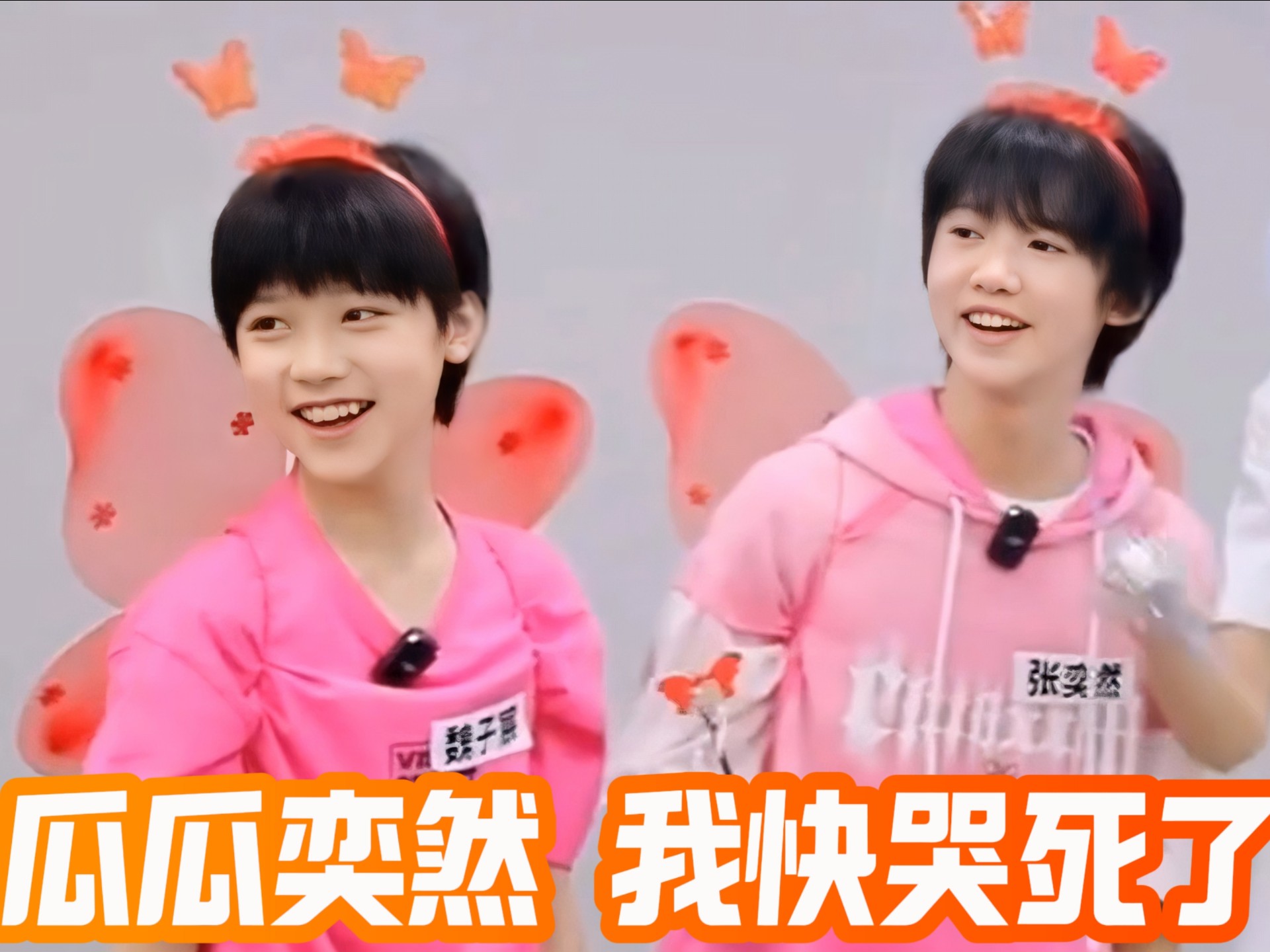 猪老大与猪老二，我快哭死！